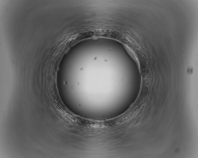 X0000095520961200712141442
