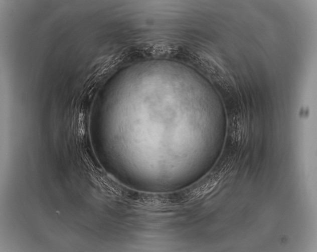 X0000095520962200712141442