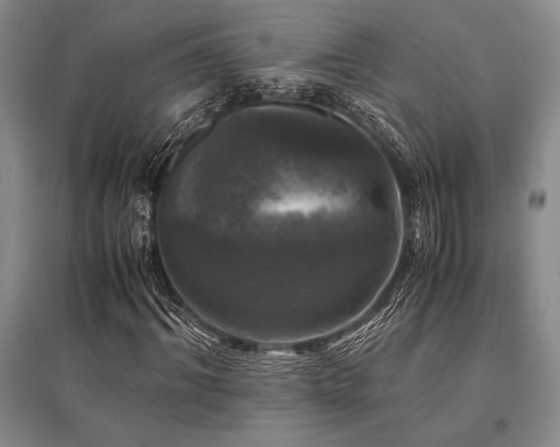X0000095520964200712141442