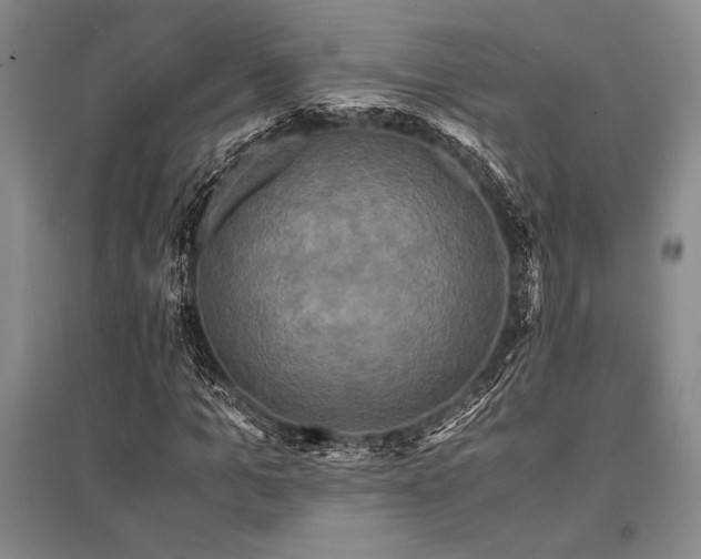 X0000095520965200712141442