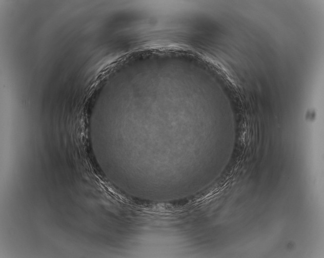 X0000095520966200712141442