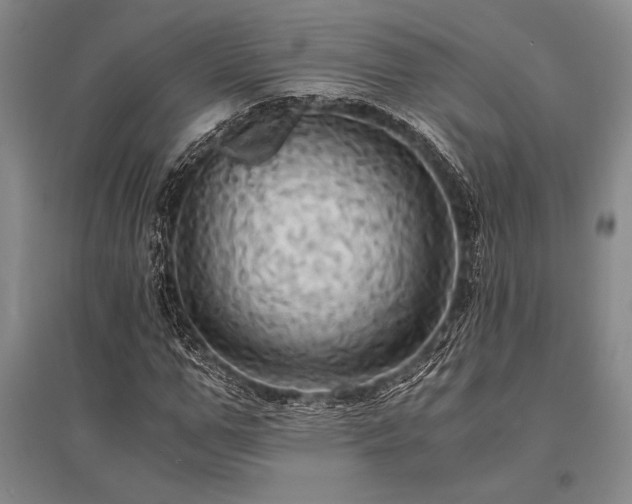 X0000095520967200712141442