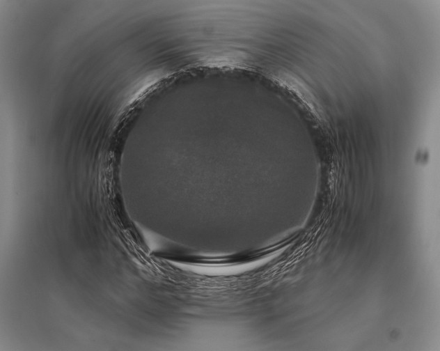 X0000095520968200712141442