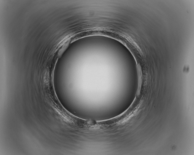 X0000095520969200712141442