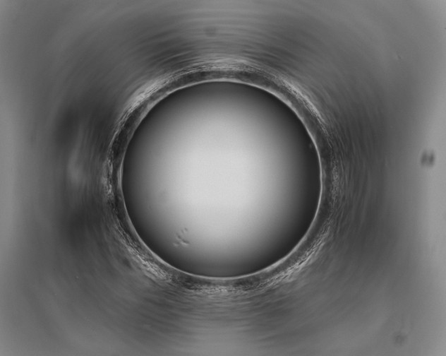 X0000095520970200712141442