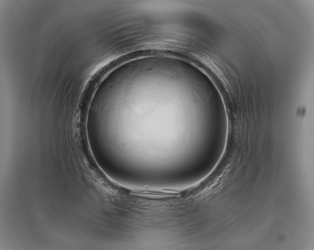 X0000095520971200712141442