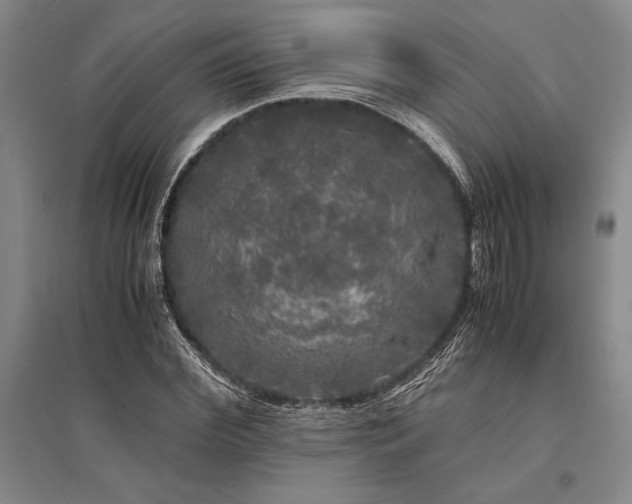 X0000095520972200712141442