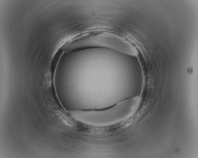 X0000095520973200712141442
