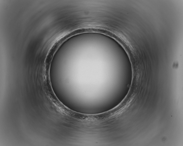 X0000095520974200712141442