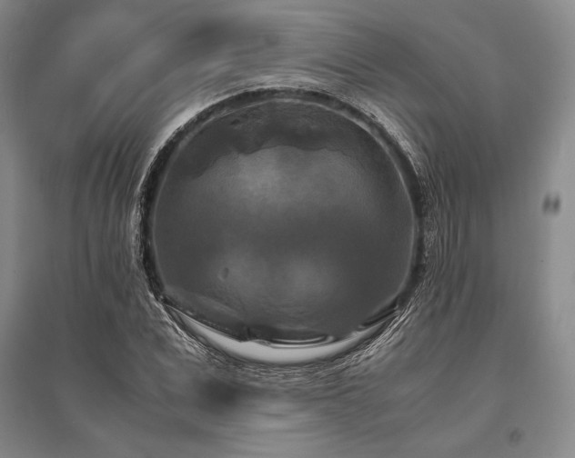 X0000095520975200712141442