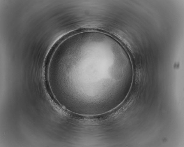 X0000095520976200712141442