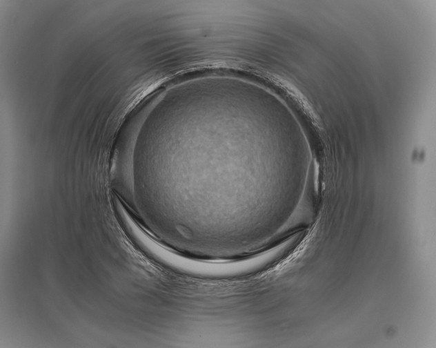 X0000095520977200712141442