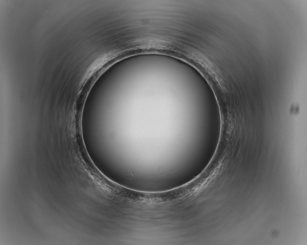 X0000095520978200712141442