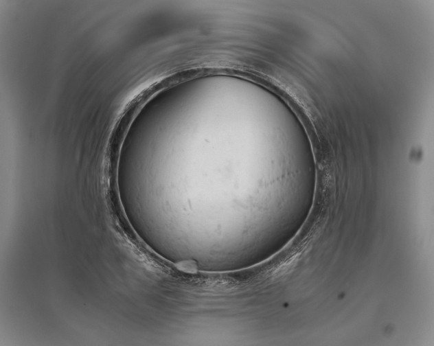 X0000095520979200712141442