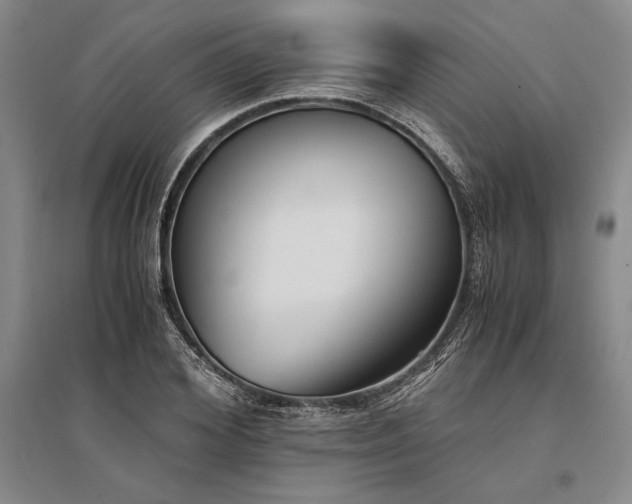 X0000095520980200712141442