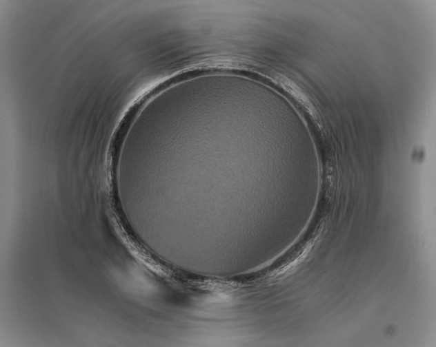 X0000095520981200712141442