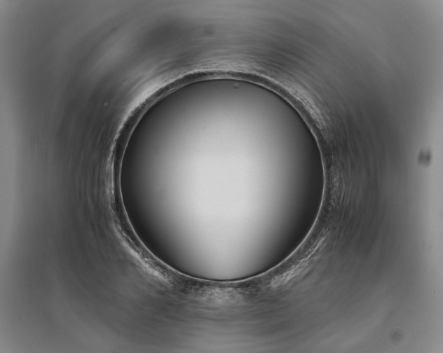 X0000095520982200712141442
