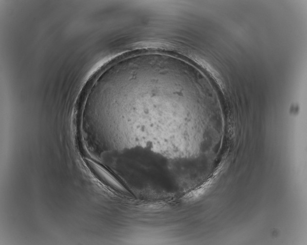 X0000095520983200712141442