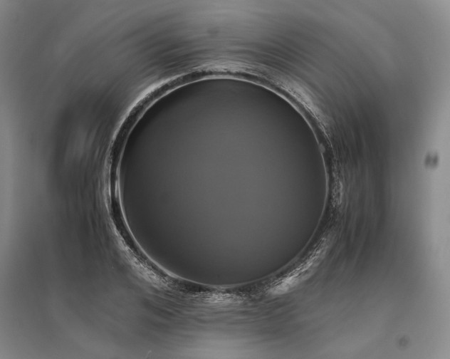 X0000095520984200712141442