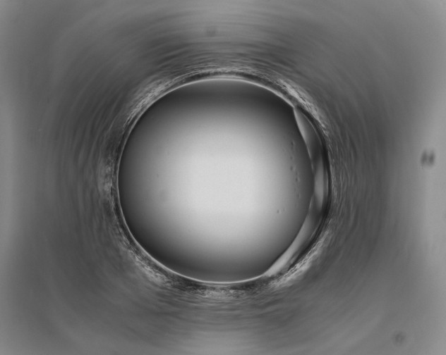 X0000095520985200712141442