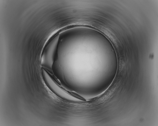 X0000095520988200712141442
