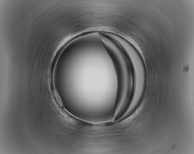 X0000095520989200712141442