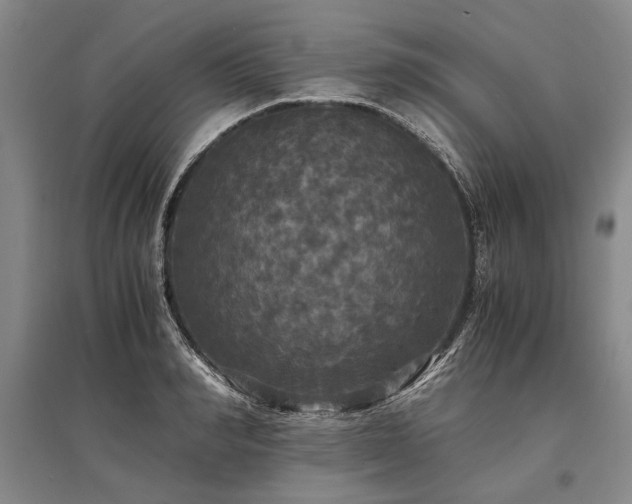 X0000095520990200712141442