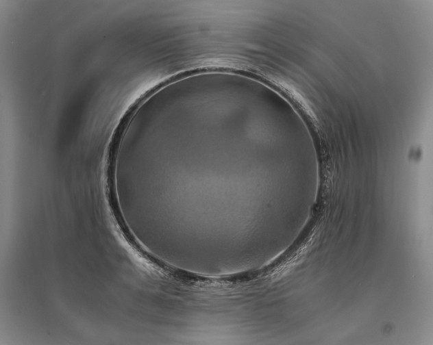 X0000095520991200712141442