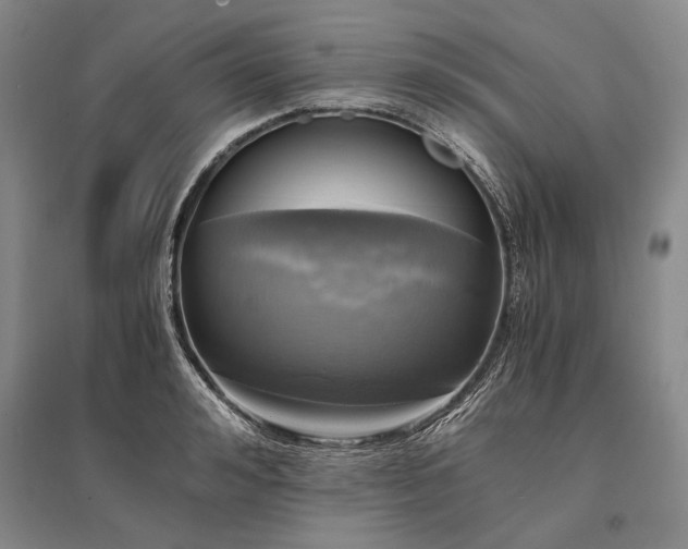 X0000095520992200712141442