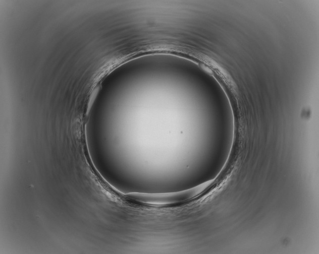 X0000095520993200712141442
