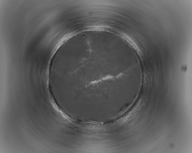 X0000095520994200712141442