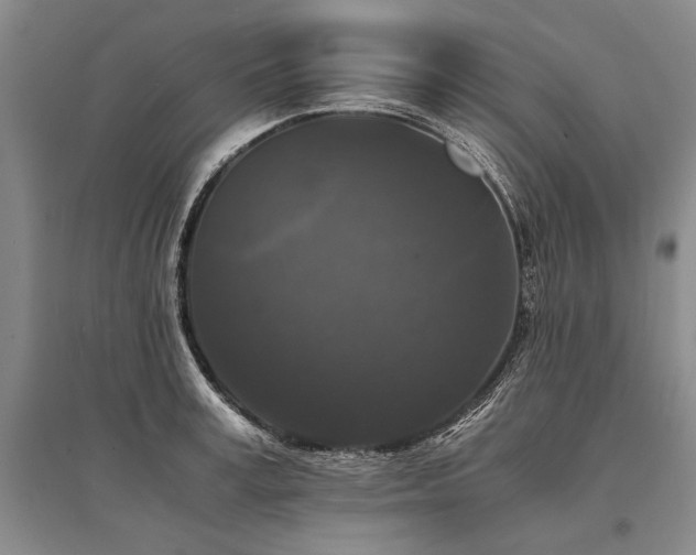 X0000095520995200712141442