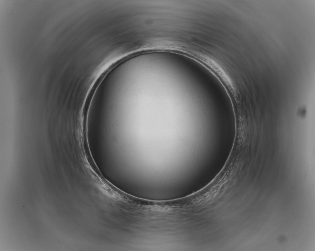 X0000095520996200712141442