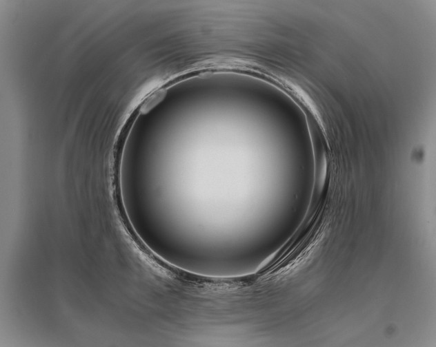 X0000095520997200712141442
