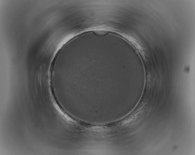 X0000095520998200712141442