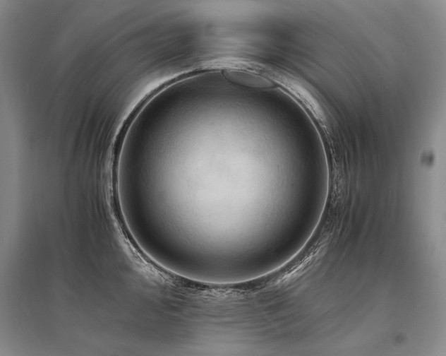 X0000095521000200712141442