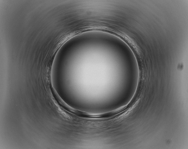 X0000095521001200712141442