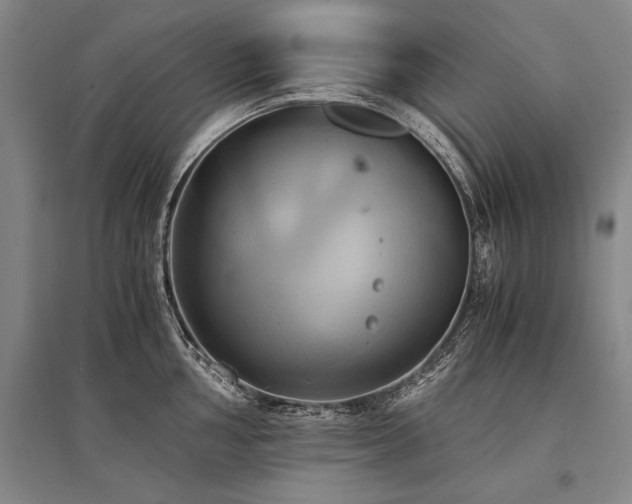 X0000095521002200712141442