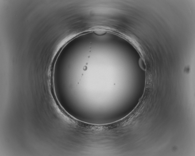 X0000095521003200712141442
