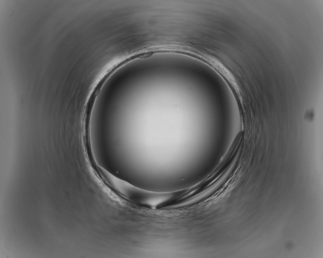 X0000095521005200712141442