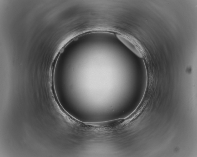 X0000095521006200712141442