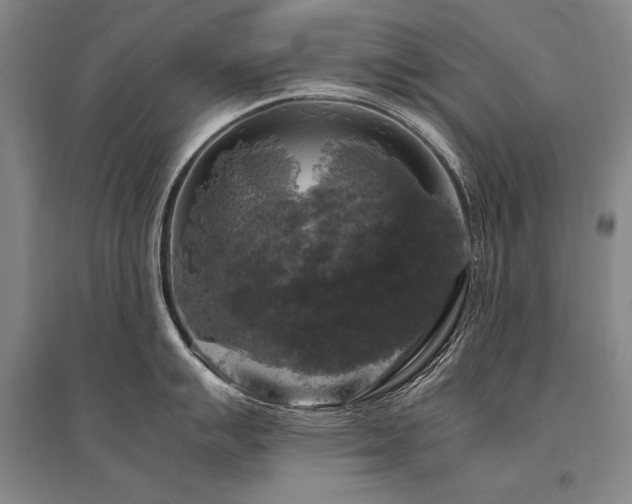 X0000095521007200712141442