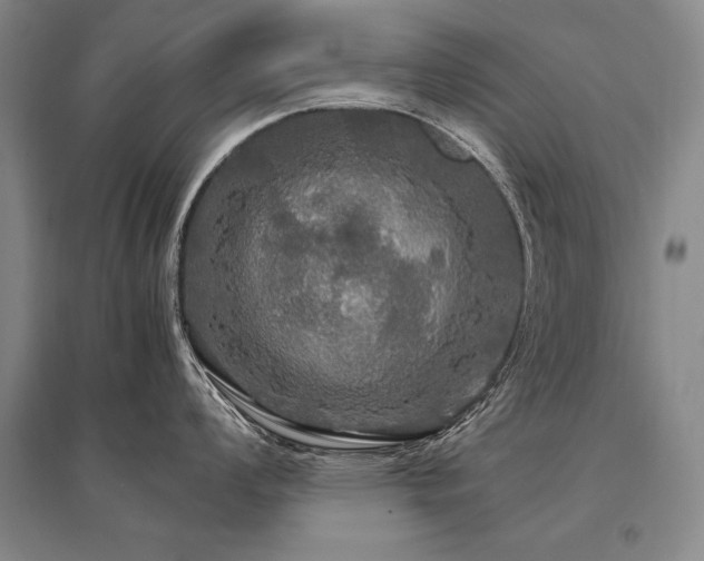 X0000095521008200712141442