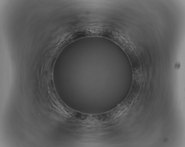 X0000095521009200712141441