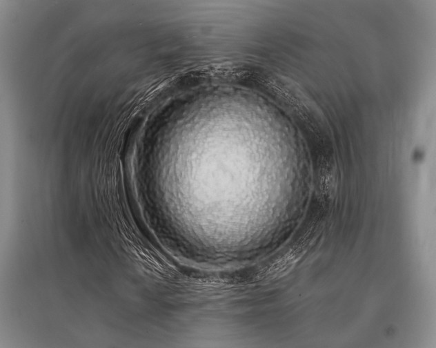 X0000095521010200712141441