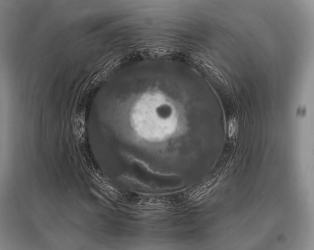 X0000095521011200712141441