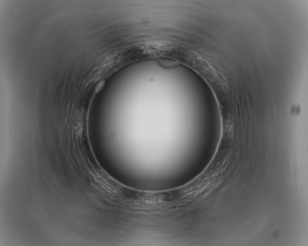 X0000095521012200712141441