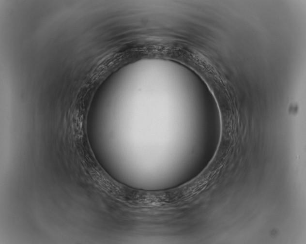 X0000095521013200712141441