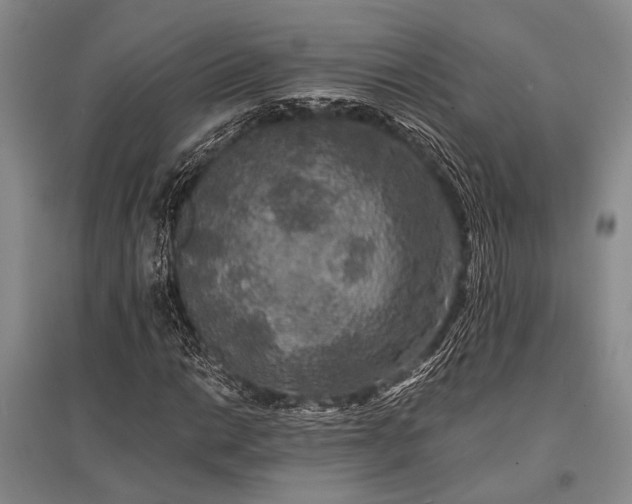 X0000095521014200712141441
