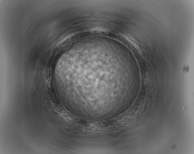 X0000095521015200712141441